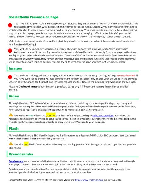 Sample Website Analysis Report Page 17