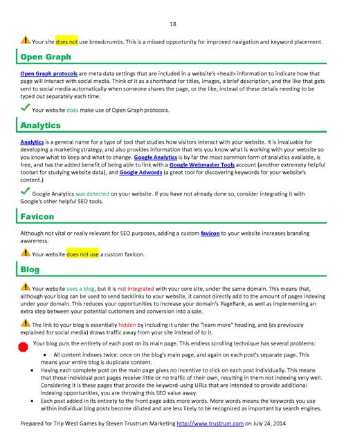 Sample Website Analysis Report Page 18