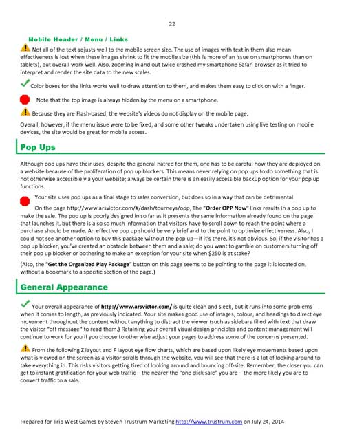 Sample Website Analysis Report Page 22