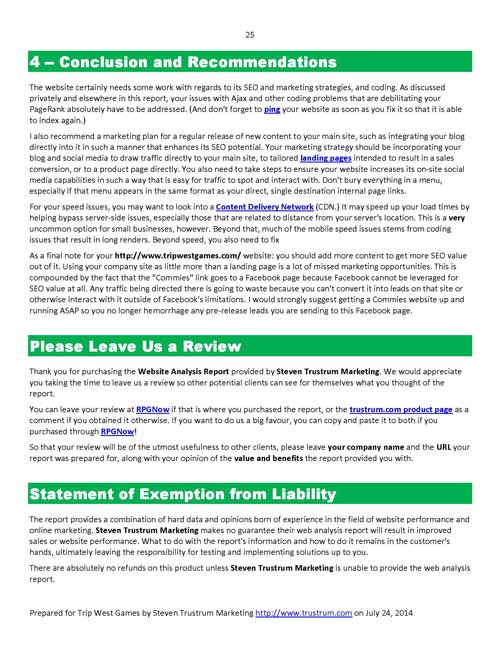 Sample Website Analysis Report Page 25